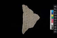 藏品(刺點紋腹片)的圖片