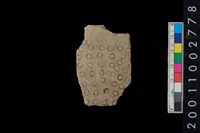 藏品(圈印紋腹片)的圖片