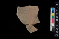 藏品(劃紋腹片)的圖片