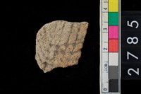 藏品(方格印紋腹片)的圖片