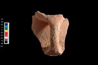 藏品(口把)的圖片