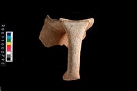 藏品(口把)的圖片