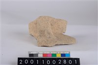 藏品(口把)的圖片