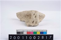 藏品(口把)的圖片