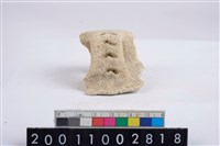 藏品(口把)的圖片