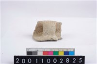 藏品(口把)的圖片