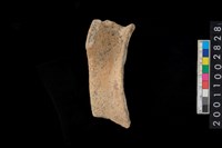 藏品(口把)的圖片