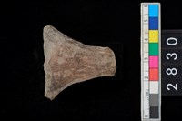 藏品(陶把)的圖片