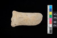 藏品(陶把)的圖片