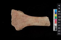 藏品(陶把)的圖片