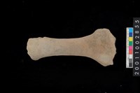 藏品(陶把)的圖片