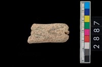 藏品(陶把)的圖片