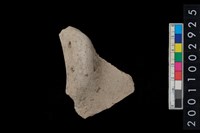 藏品(鈕把)的圖片