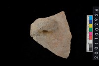 藏品(鈕把)的圖片