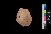 藏品(鈕把)的圖片