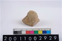 藏品(鈕把)的圖片