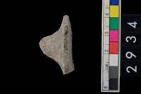 藏品(鈕把)的圖片