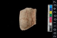 藏品(鈕把)的圖片