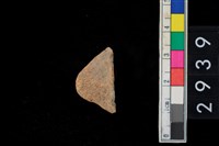 藏品(鈕把)的圖片