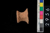 藏品(鈕把)的圖片