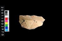 藏品(彩陶口緣)的圖片