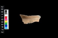 藏品(彩陶口緣)的圖片