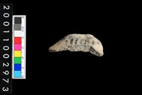 藏品(彩陶口緣)的圖片