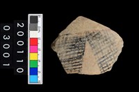 藏品(彩陶折肩)的圖片