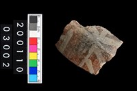 藏品(彩陶折肩)的圖片