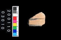 藏品(彩陶腹片)的圖片