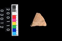 藏品(彩陶腹片)的圖片