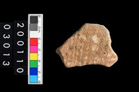 藏品(彩陶腹片)的圖片