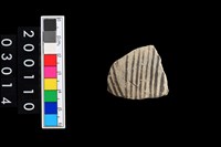 藏品(彩陶腹片)的圖片