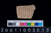 藏品(彩陶腹片)的圖片