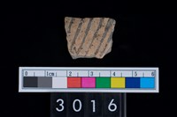 藏品(彩陶腹片)的圖片