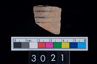 藏品(彩陶腹片)的圖片