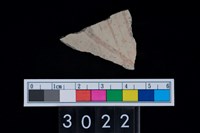 藏品(彩陶腹片)的圖片