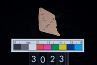 藏品(彩陶腹片)的圖片