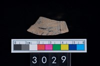 藏品(彩陶腹片)的圖片