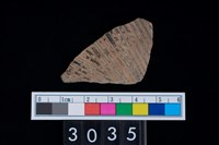 藏品(彩陶腹片)的圖片