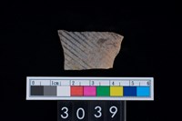 藏品(彩陶腹片)的圖片