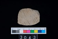 藏品(彩陶腹片)的圖片