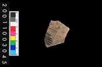 藏品(彩陶腹片)的圖片