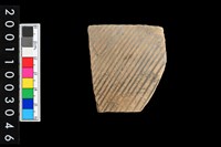 藏品(彩陶腹片)的圖片