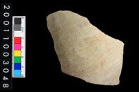 藏品(彩陶腹片)的圖片