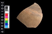 藏品(彩陶腹片)的圖片