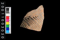 藏品(彩陶腹片)的圖片