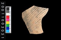 藏品(彩陶腹片)的圖片