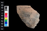 藏品(彩陶腹片)的圖片