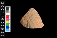 藏品(彩陶腹片)的圖片